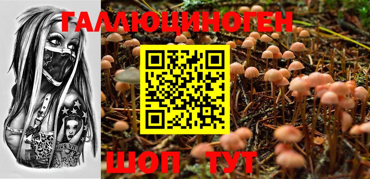 Севастополь  Галлюциногенные грибы Cubensis  Вход с VPN  Галлюциногенные грибы Cubensis 