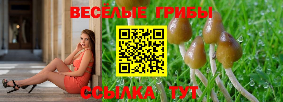 Псилоцибиновые грибы Magic Shrooms Севастополь